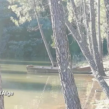 Casa Da * Figueiro Dos Vinhos